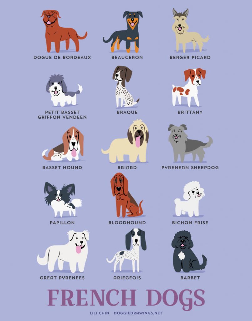 Dogs-Of-The-World-Cute-Poster-Series-Shows-The-Geographic-Origin-Of-Dog-Breeds6__frances