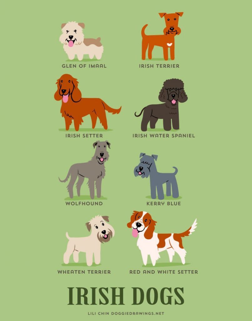 Dogs-Of-The-World-Cute-Poster-Series-Shows-The-Geographic-Origin-Of-Dog-Breeds7__irlanta