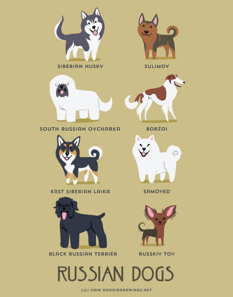 Dogs-Of-The-World-Cute-Poster-Series-Shows-The-Geographic-Origin-Of-Dog-Breeds9__rusia