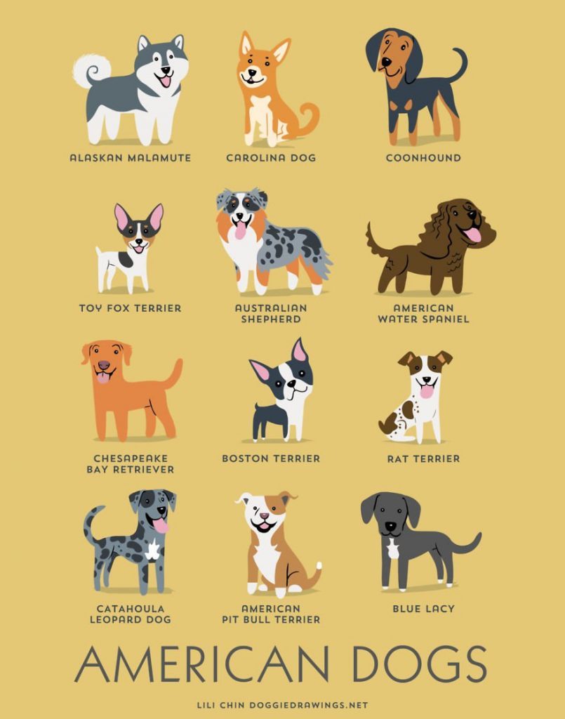 Dogs-Of-The-World-Cute-Poster-Series-Shows-The-Geographic-Origin-Of-Dog-Breeds__america