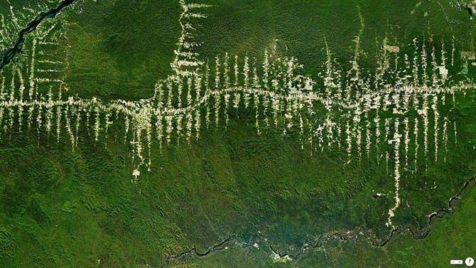 Deforestación de la selva amazónica, Brasil 