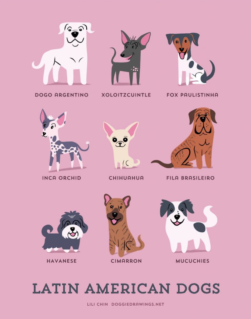 Dogs-Of-The-World-Cute-Poster-Series-Shows-The-Geographic-Origin-Of-Dog-Breeds8__americalatina