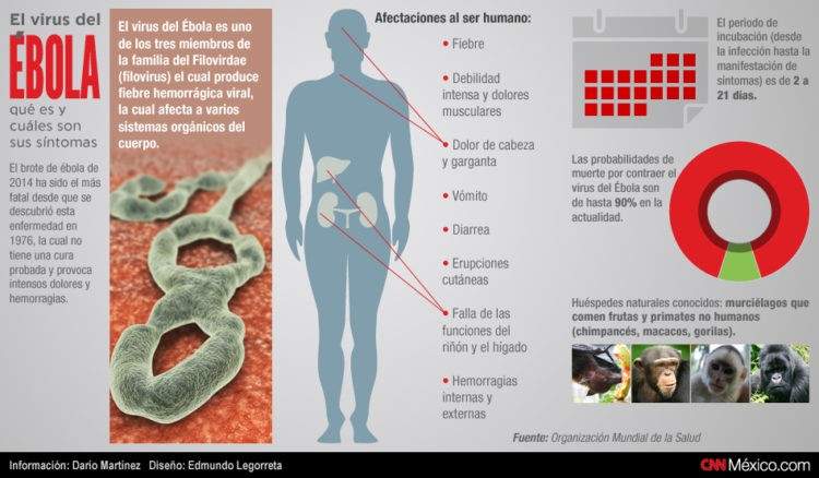 virus-ebola-sintomas-muhimu