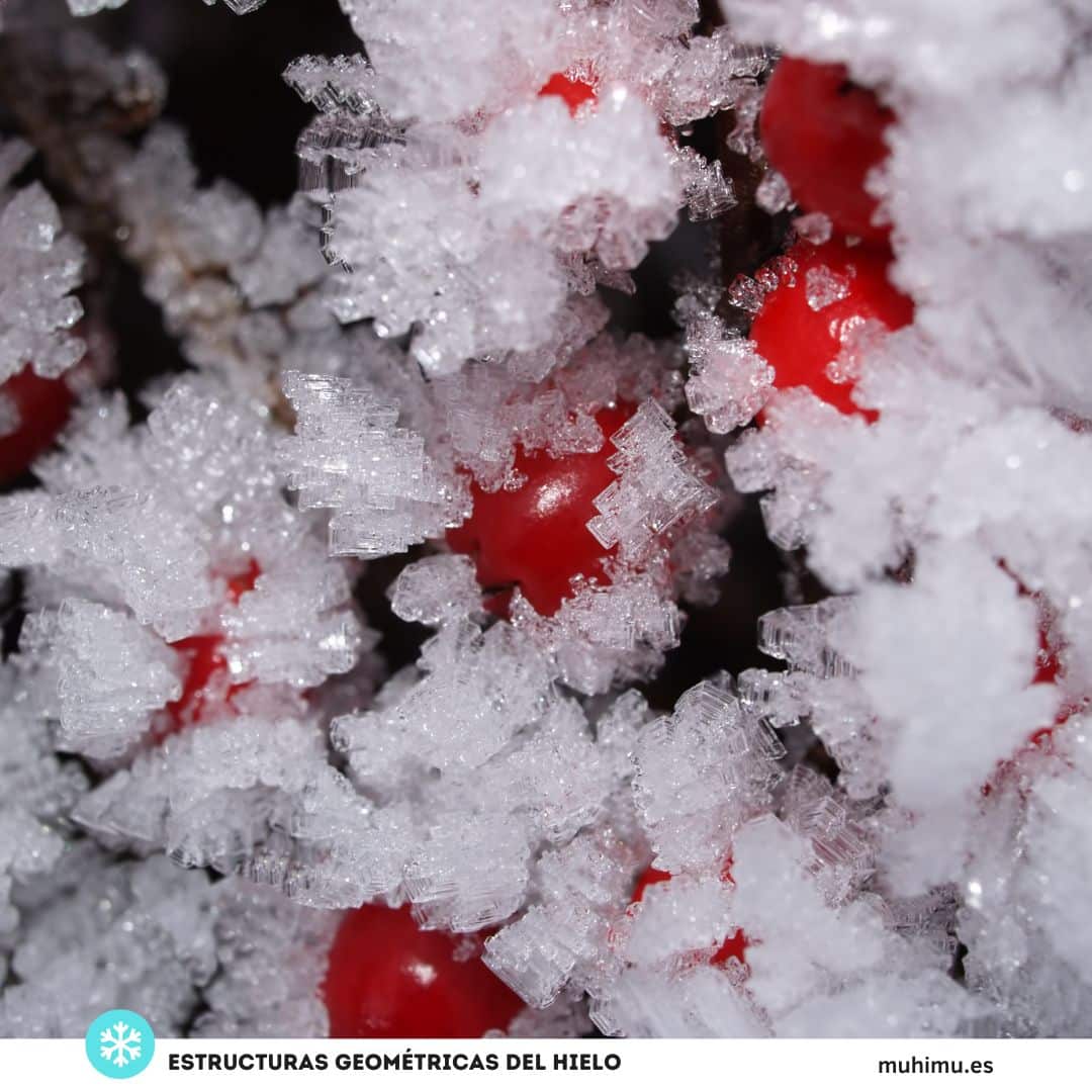 Las intensas nevadas nos han dejado estas maravillosas fotos por todo el mundo 20