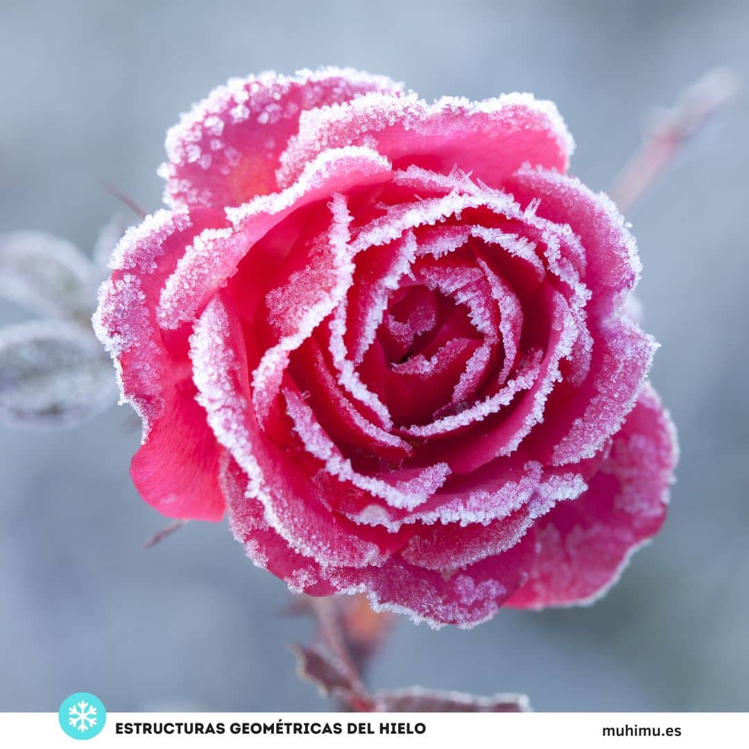 Las intensas nevadas nos han dejado estas maravillosas fotos por todo el mundo 15