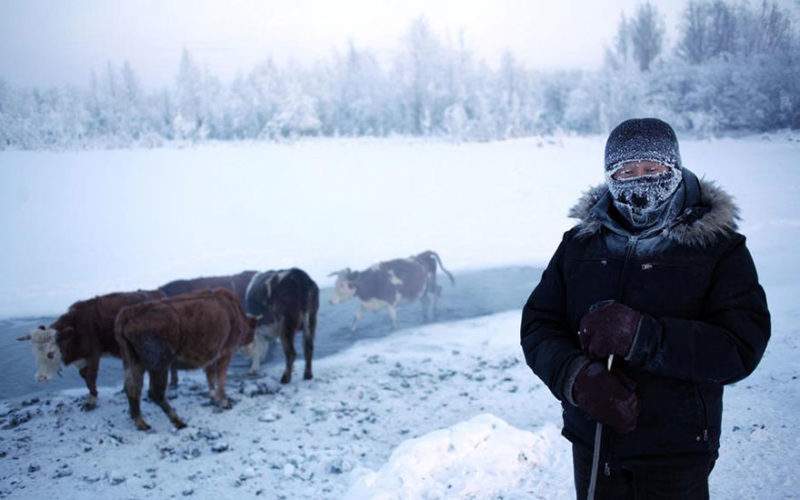 coldest-village-oymyakon-russia-amos-chaple-8 1