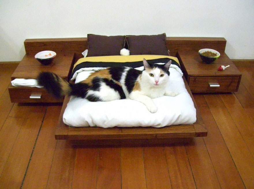 cat-furniture-111