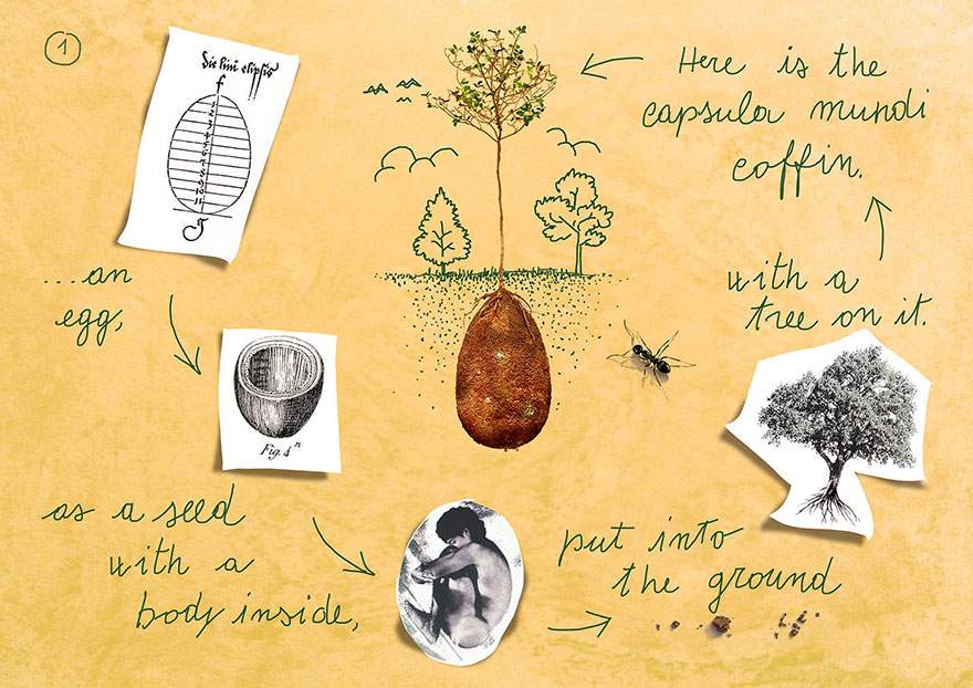 biodegradable-burial-pod-memory-forest-capsula-mundi-3
