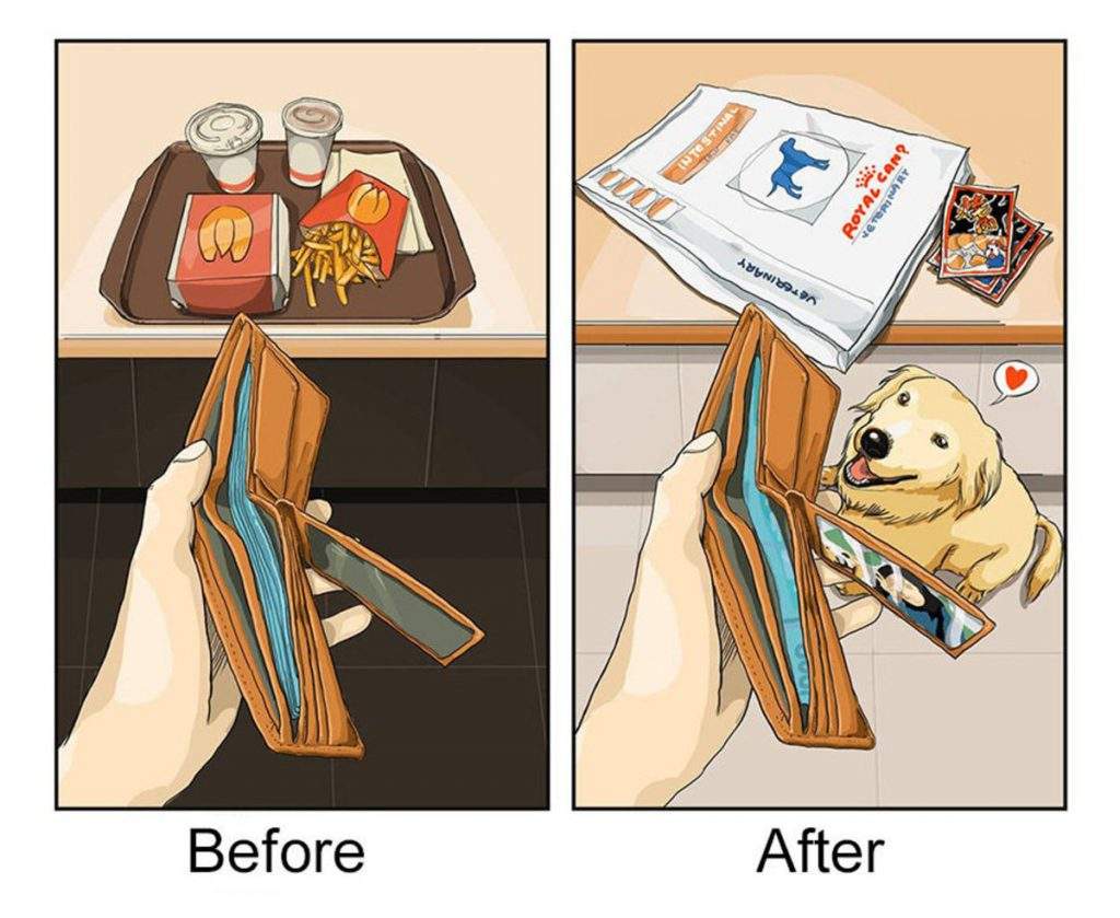 Las divertidas imágenes que demuestran el "antes" y "después" de tener una mascota en tu vida 4