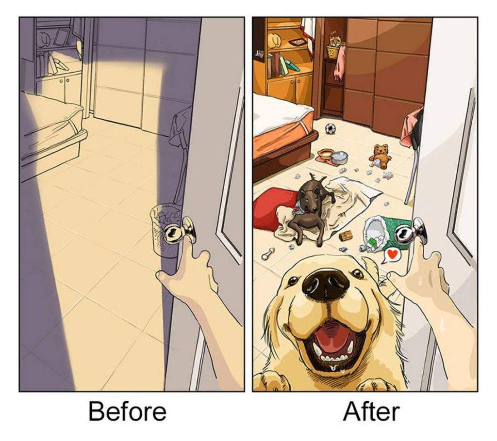 Las divertidas imágenes que demuestran el "antes" y "después" de tener una mascota en tu vida 1