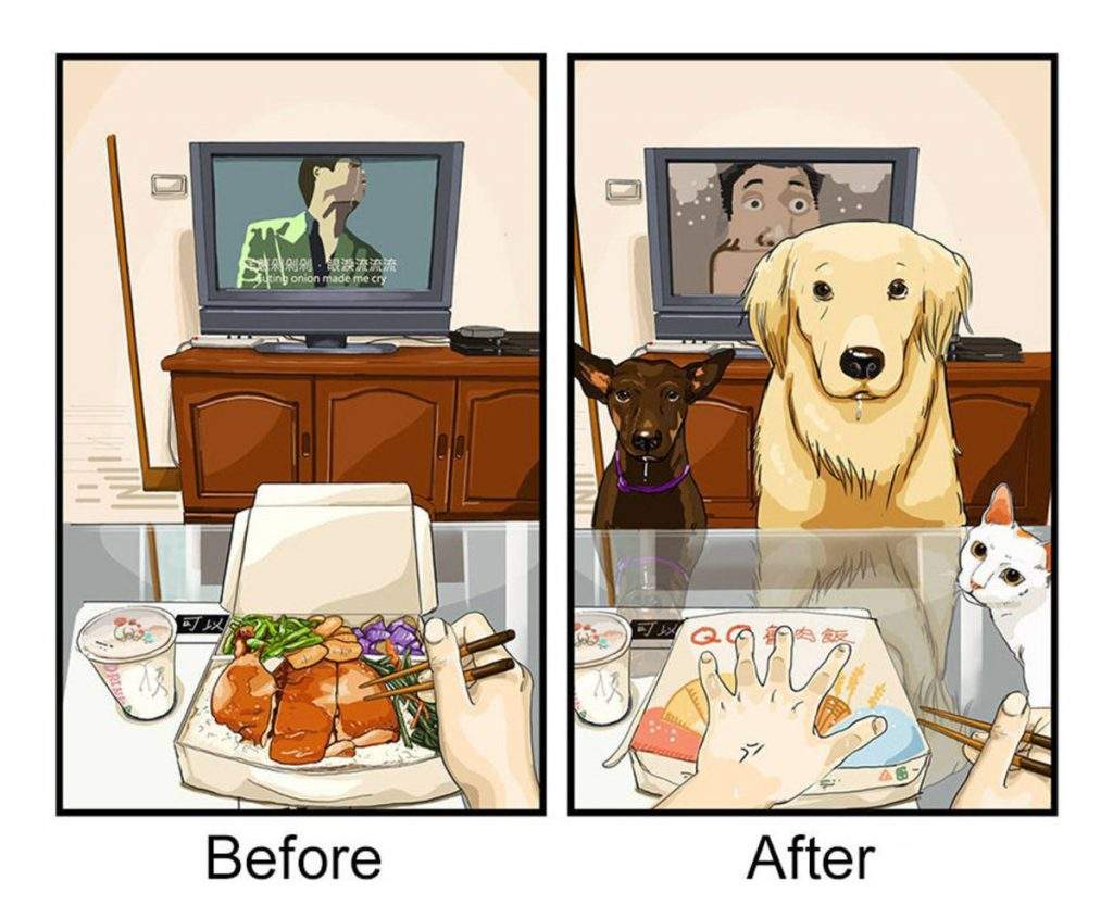 Las divertidas imágenes que demuestran el "antes" y "después" de tener una mascota en tu vida 7