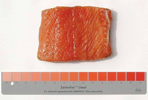 Carta de color para decidir el tono del salmón.