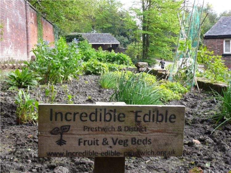 http://www.incredible-edible-todmorden.co.uk/