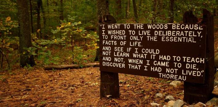 "Fui a los bosques porque quería vivir deliberadamente; enfrentar solo los hechos esenciales de la vida y ver si podía aprender lo que ella tenía que enseñar. Quise vivir profundamente y desechar todo aquello que no fuera vida...para no darme cuenta, en el momento de morir, que no había vivido". Henry David Thoreau