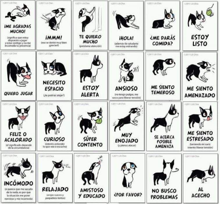 lenguaje-canino