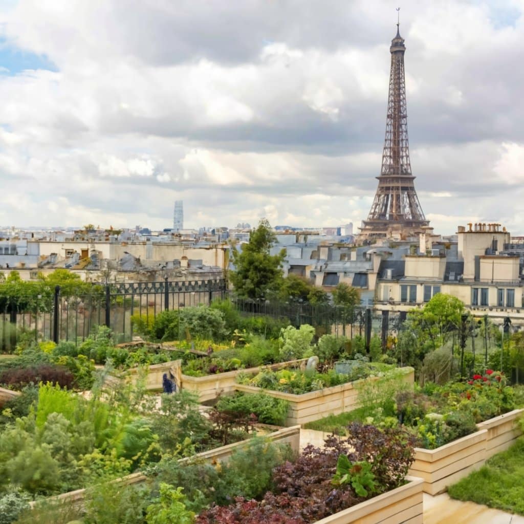 Para los parisinos que anhelan una ciudad más verde, fresca y saludable, estos desarrollos traen esperanza. Sin embargo, como se ha visto en ciudades de todo el mundo, el camino hacia un Edén verde no está exento de desafíos.