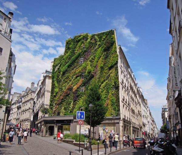 Después, muro vegetal de 25 metros de altura, compuesto por 7.600 plantas. Fuente: http://blog.is-arquitectura.es/
