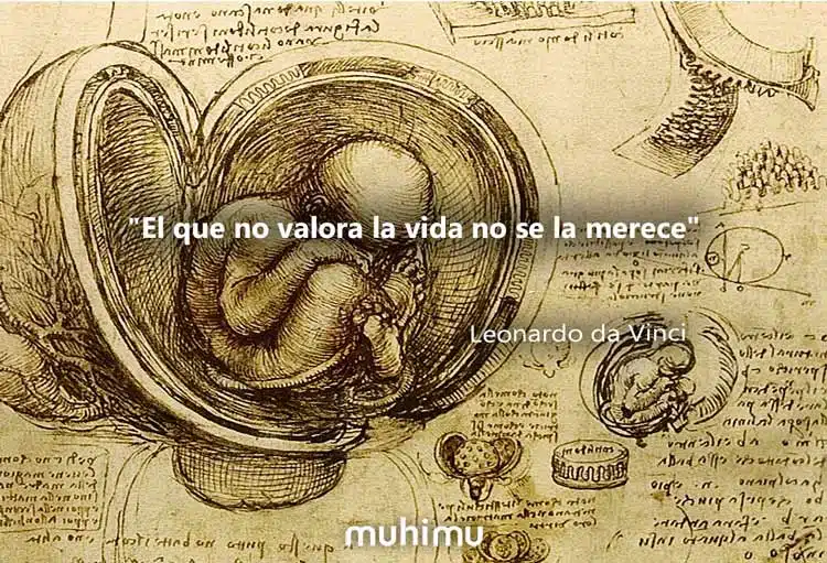 101 frases de Leonardo da Vinci sobre la vida, el arte y las personas 5