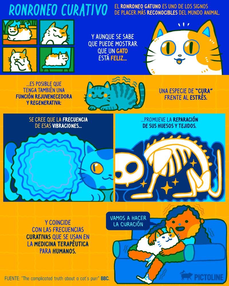 Infografía del ronroneo curativo de los gatos