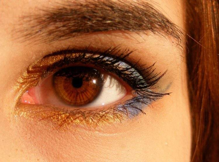 brown-brown-eyes-iris-gene-46279 3