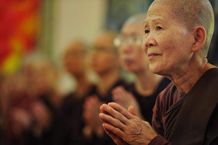La flecha envenenada: la parábola budista que nos enfrenta a nuestro peor error 2