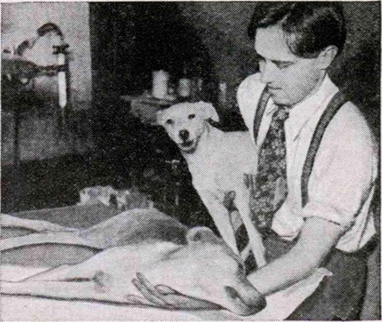 Robert Cornish, historia REAL: Consiguió resucitar perros, pero ¿funcionaría su método con humanos? 3