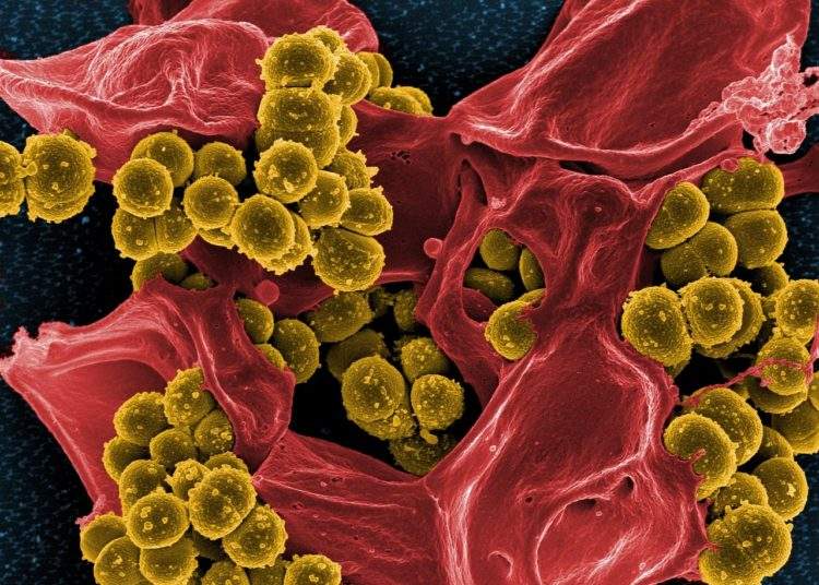 La recomendación científica está a punto de cambiar: el peligro de terminar el ciclo completo de antibióticos 2