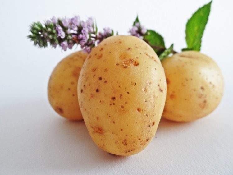 patatas 3