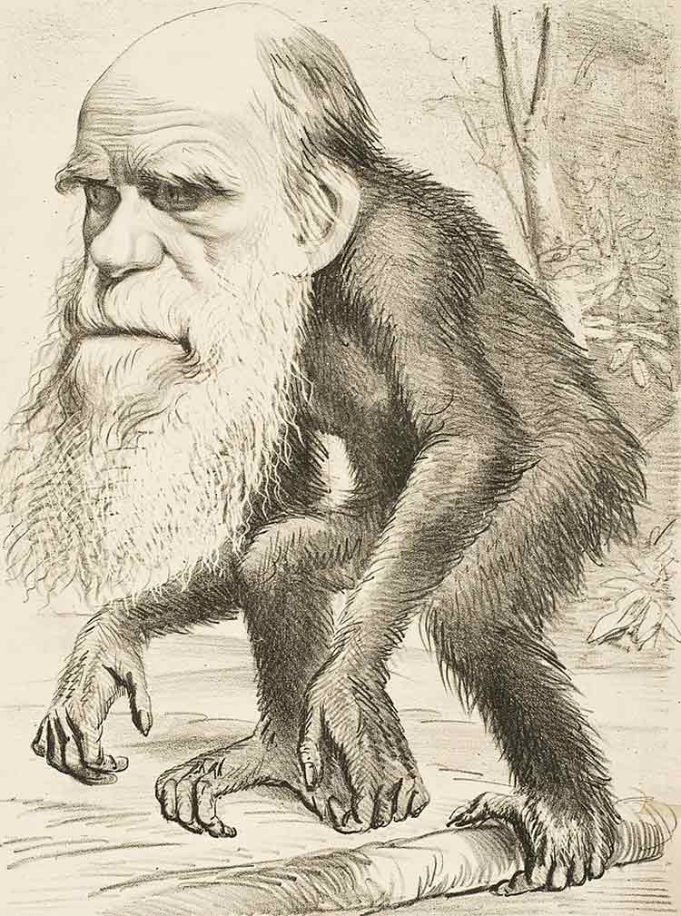 Según Darwin, los debates sobre Dios van más allá de las creencias de nuestra educación y herencia social 2