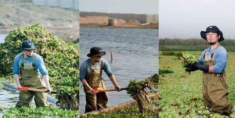 Un holandés limpia un río en cinco semanas e inspira a gente de todo el mundo para hacer lo mismo 4