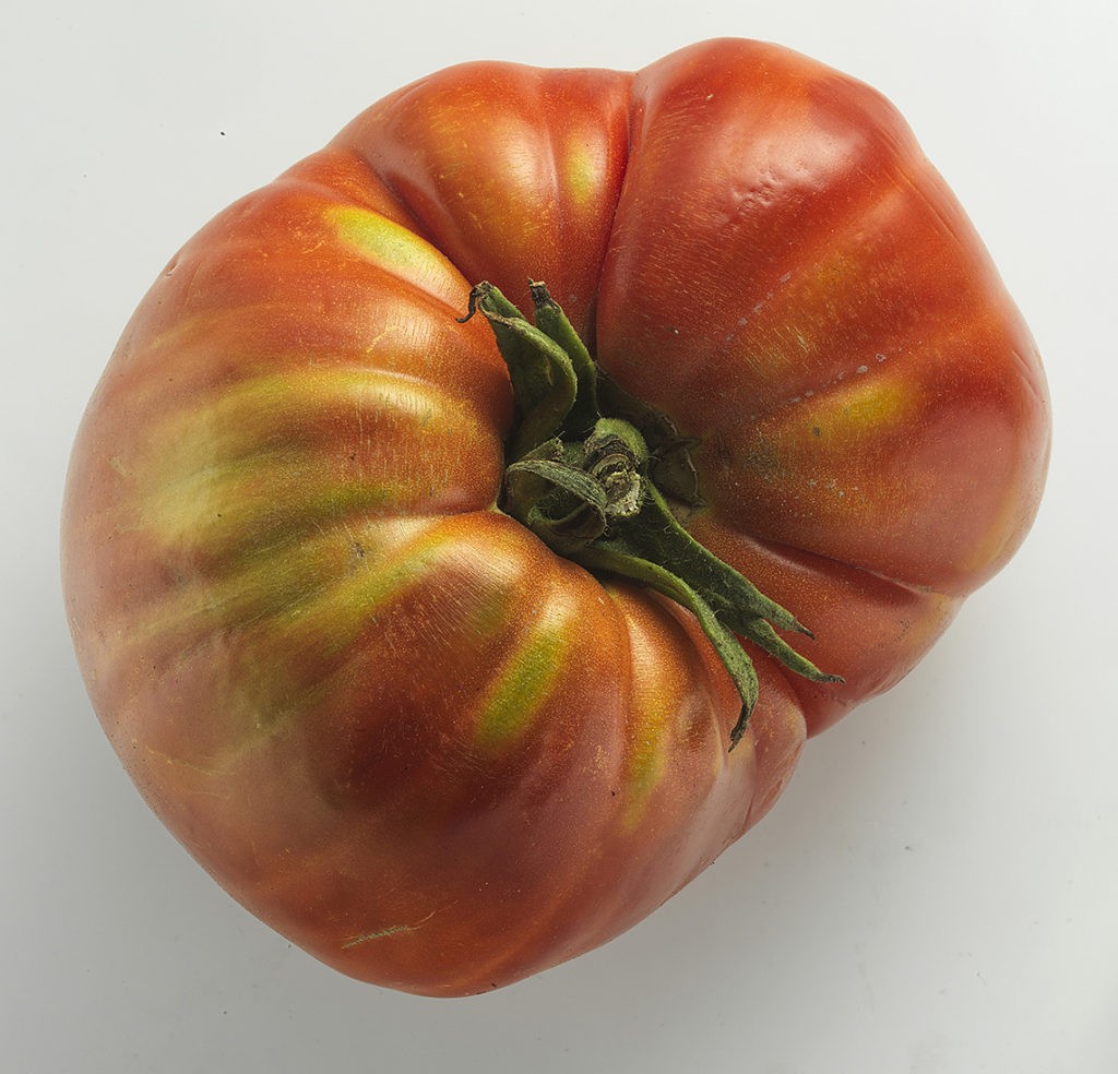 Las 10 mejores variedades de tomate español: características, curiosidades y diferencias 8