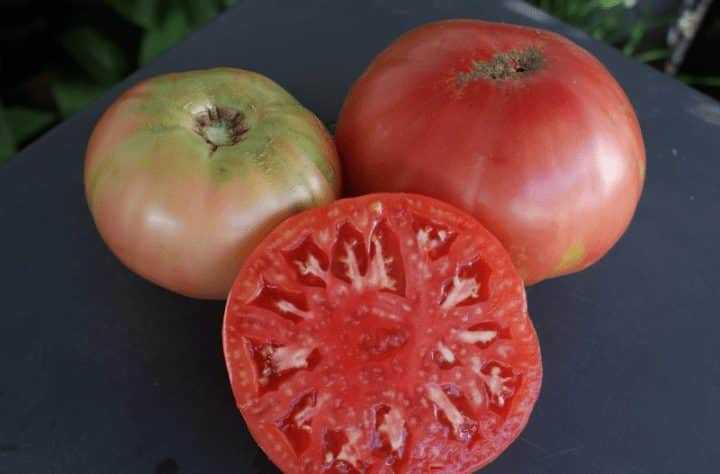 Las 10 mejores variedades de tomate español: características, curiosidades y diferencias 9