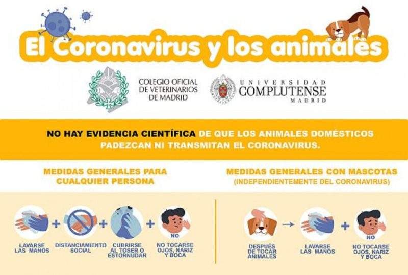coronavirus-animales 3