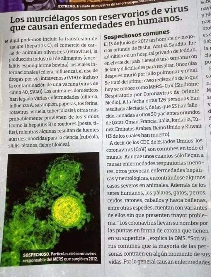 El libro que predijo que habría una pandemia como el "coronavirus" en 2020 ¿Peligrosa coincidencia? 5