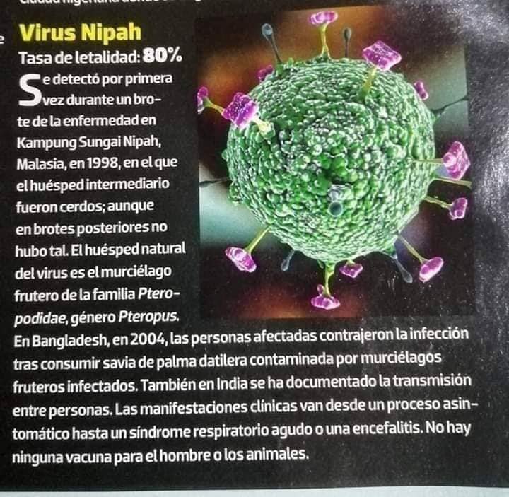 El libro que predijo que habría una pandemia como el "coronavirus" en 2020 ¿Peligrosa coincidencia? 9