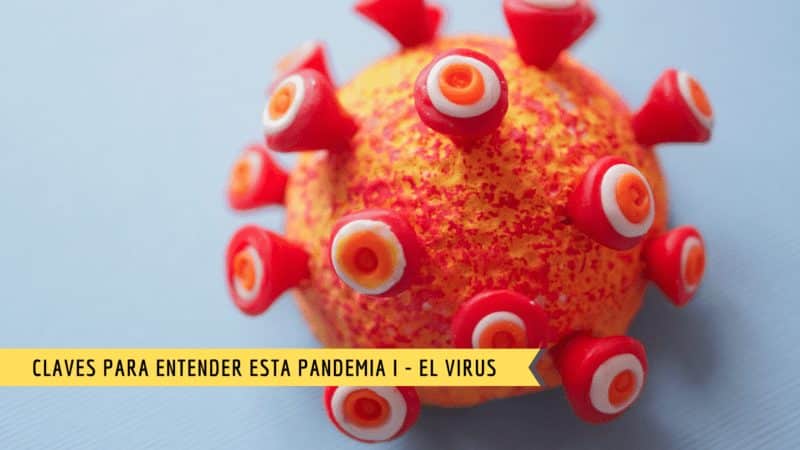 coronavirus explicado sencillo 3