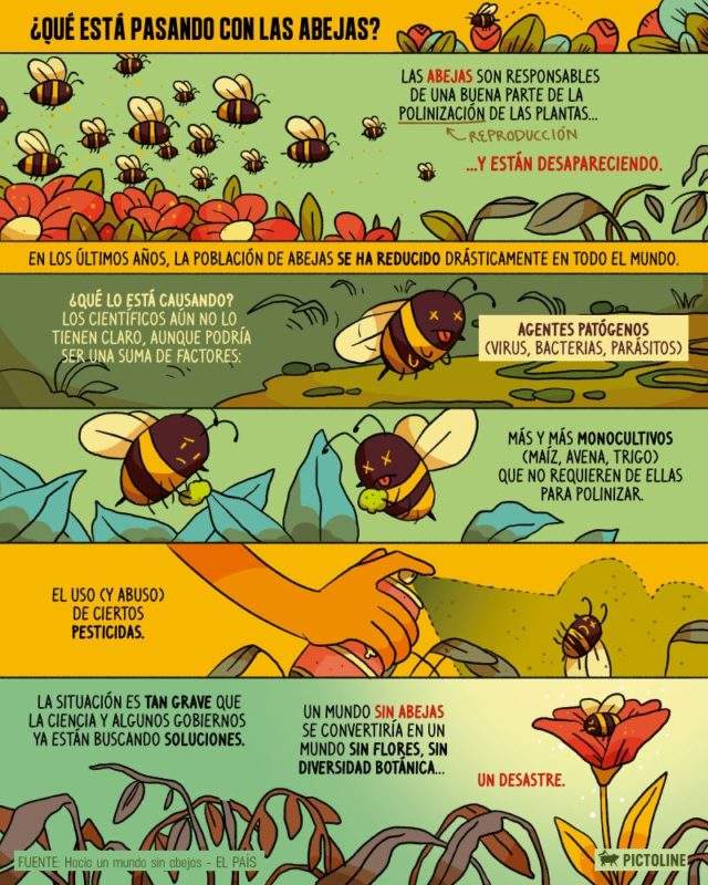 abejas flores 3