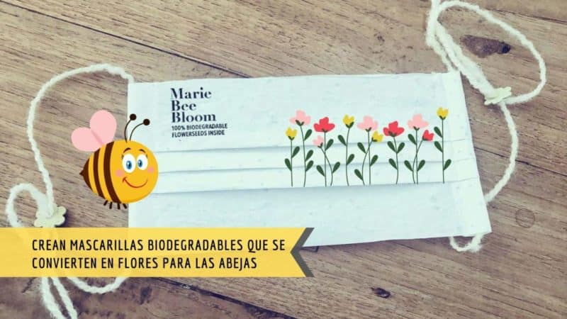 marie bee bloom mascarillas bio semilla 3