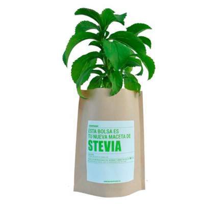 Kit-huerto-Stevia-Garden-Pocket 3