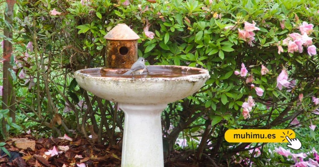 Cómo crear un bebedero DIY en tu terraza para que pequeñas aves puedan resistir el verano 1