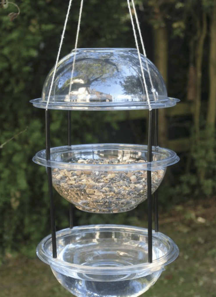 Cómo crear un bebedero DIY en tu terraza para que pequeñas aves puedan resistir el verano 5