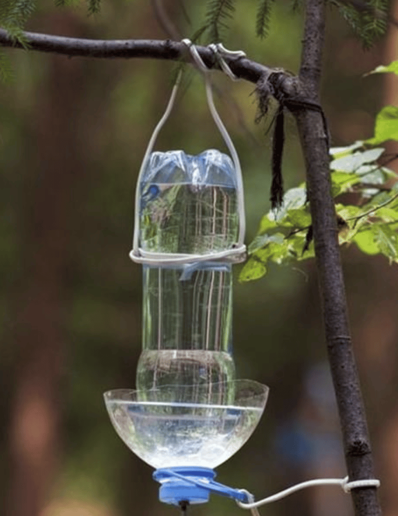 Cómo crear un bebedero DIY en tu terraza para que pequeñas aves puedan resistir el verano 7