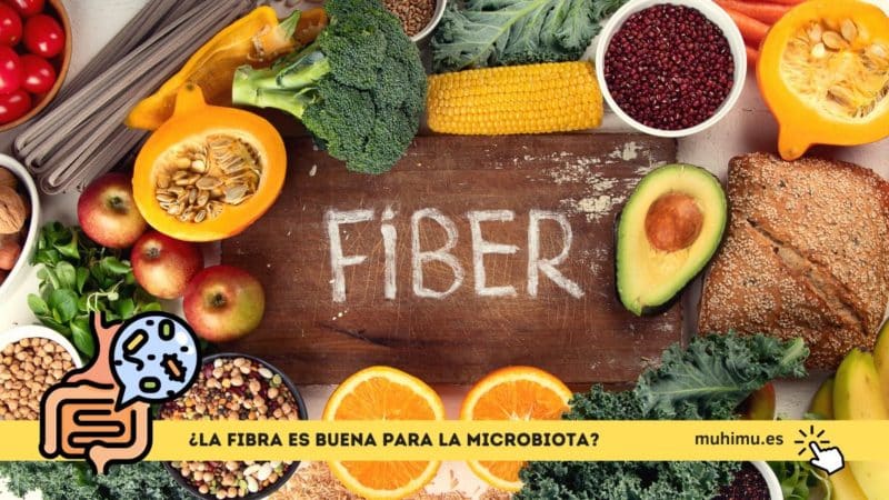 ¿La fibra es buena para la microbiota? 3