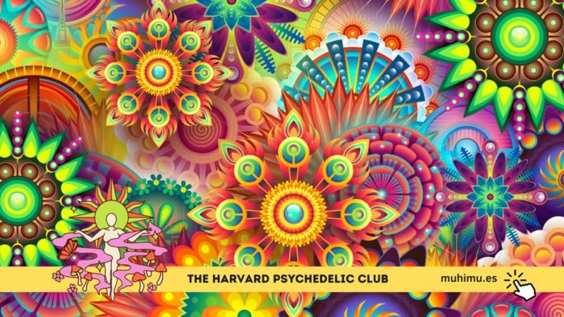 The Harvard Psychedelic Club 3
