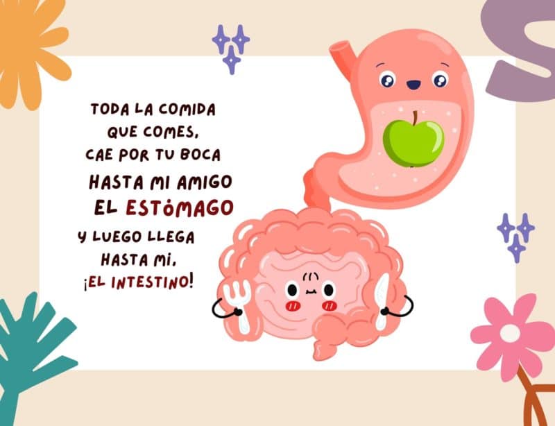 libro infantil microbiota intestinal comer bien 3