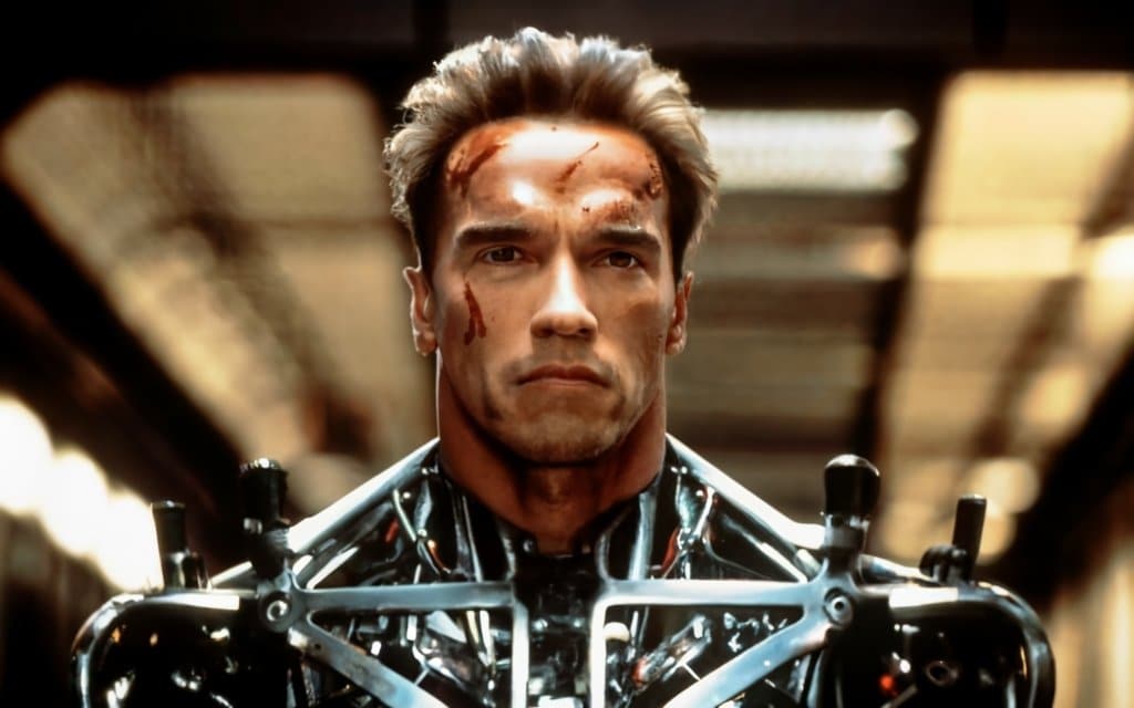  La mentalidad de Schwarzenegger se basa en la disciplina. Él forjó su éxito a través de una estricta disciplina personal. 