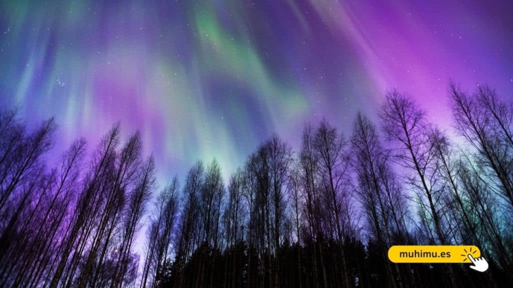 En las noches polares, las auroras boreales despliegan su manto luminoso, transformando la oscuridad en un ballet etéreo de colores resplandecientes.

